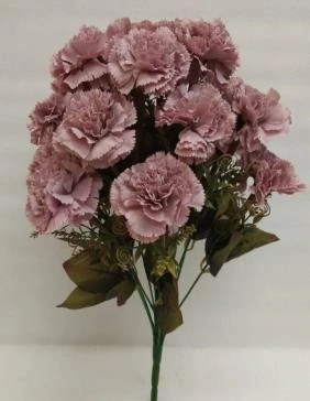 Carnation Bunch x18